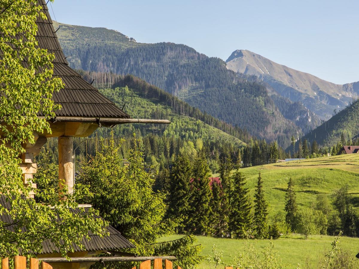 Rezydencja Dolisiówka SPA Premium Kościelisko Exterior foto